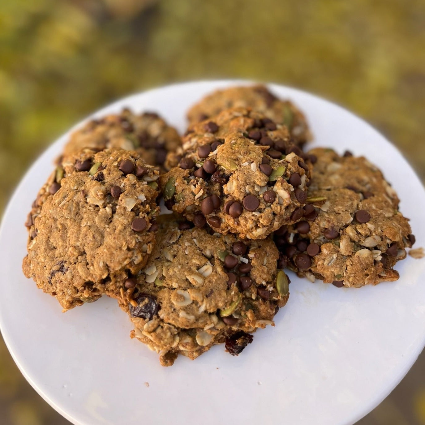 Mini Breakfast Cookies (GF/V)