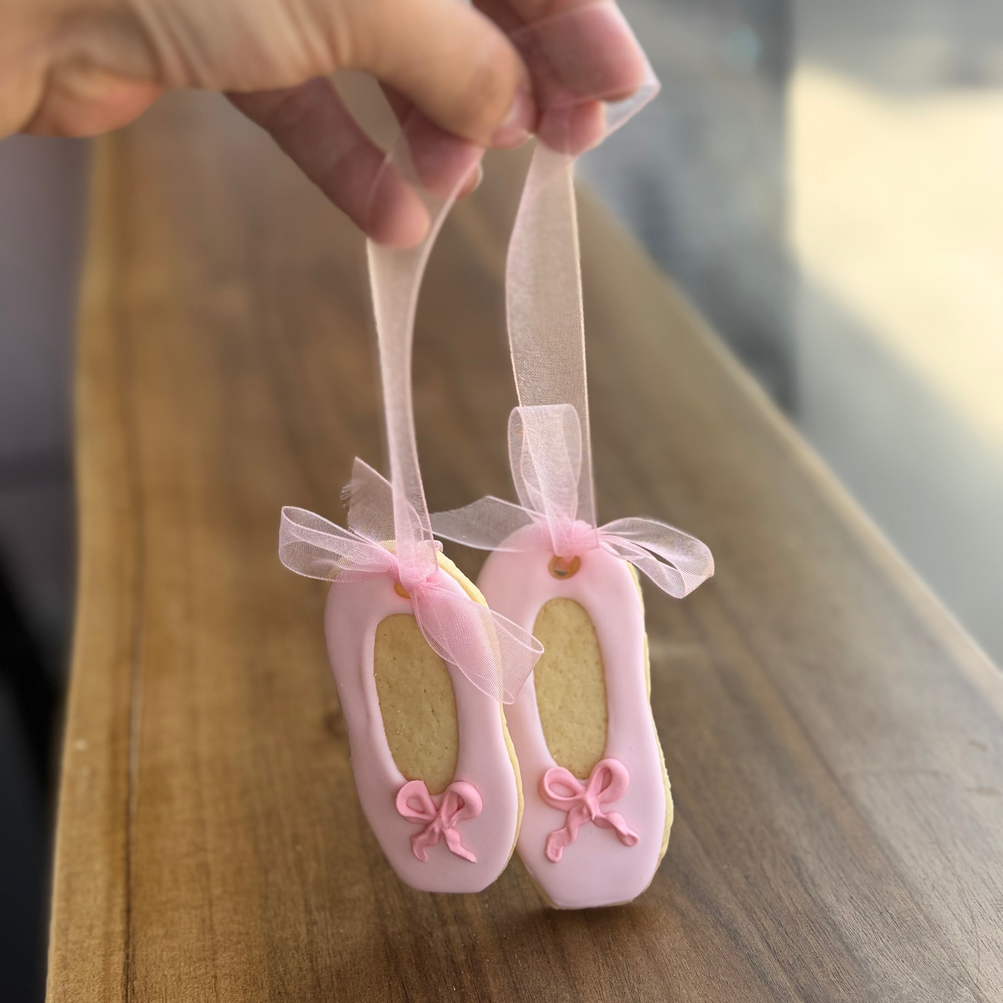 Pair of Ballet Slippers
