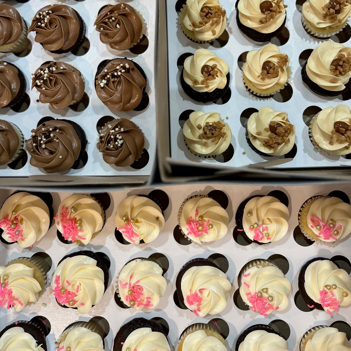 Mini Cupcakes