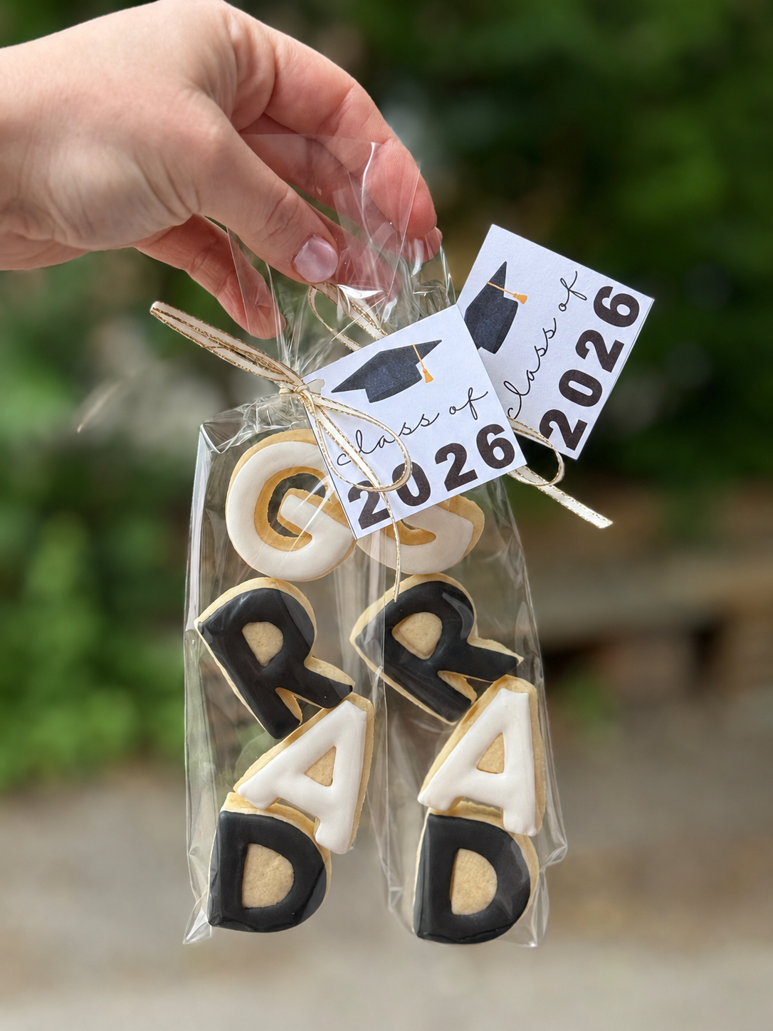 GRAD Sleeve cookies