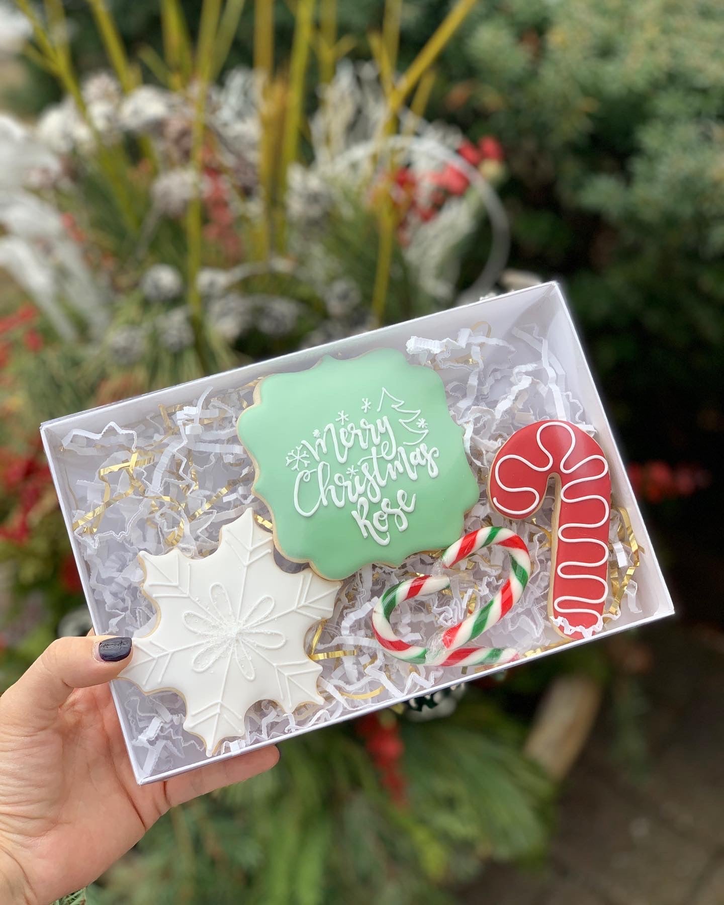 Ho Ho Ho Holiday Three Pack