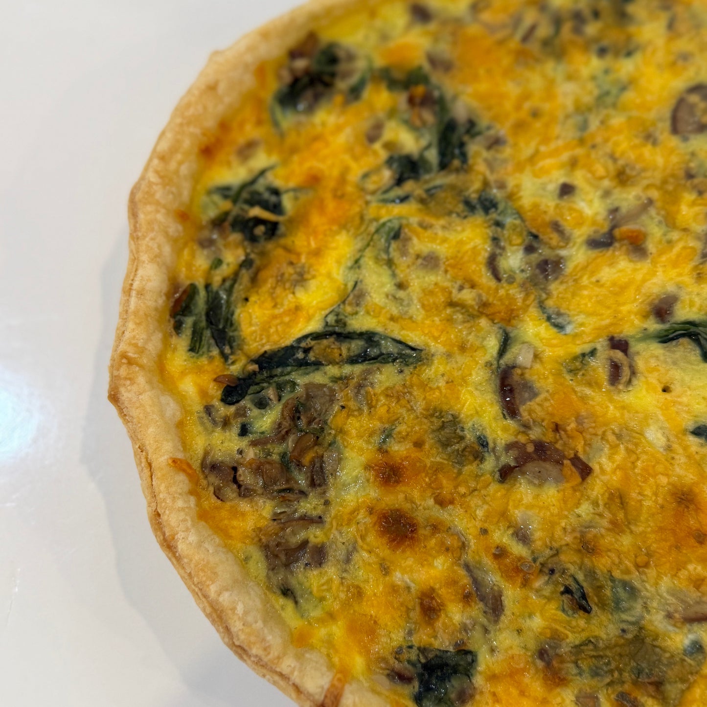 Mushroom & Caramelized Onion Cheddar Quiche
