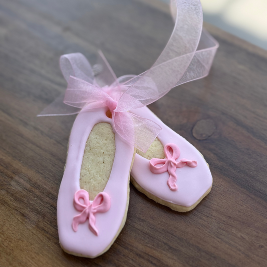 Pair of Ballet Slippers